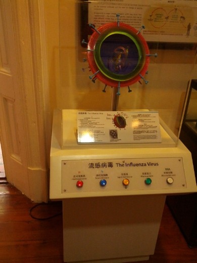 Description of flu virus in Medical Museum 