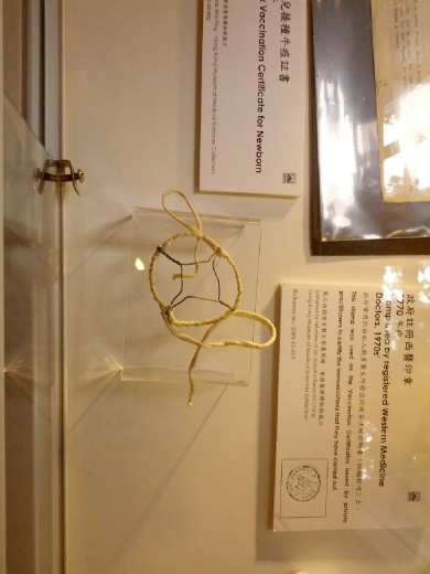 Bandage used on vaccinated area to prevent contamination and complications