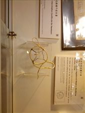 Bandage used on vaccinated area to prevent contamination and complications: by novalex, Views[139]