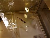 Knife used for vaccination against smallpox: by novalex, Views[225]