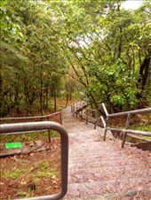 by novalex, Views[153]