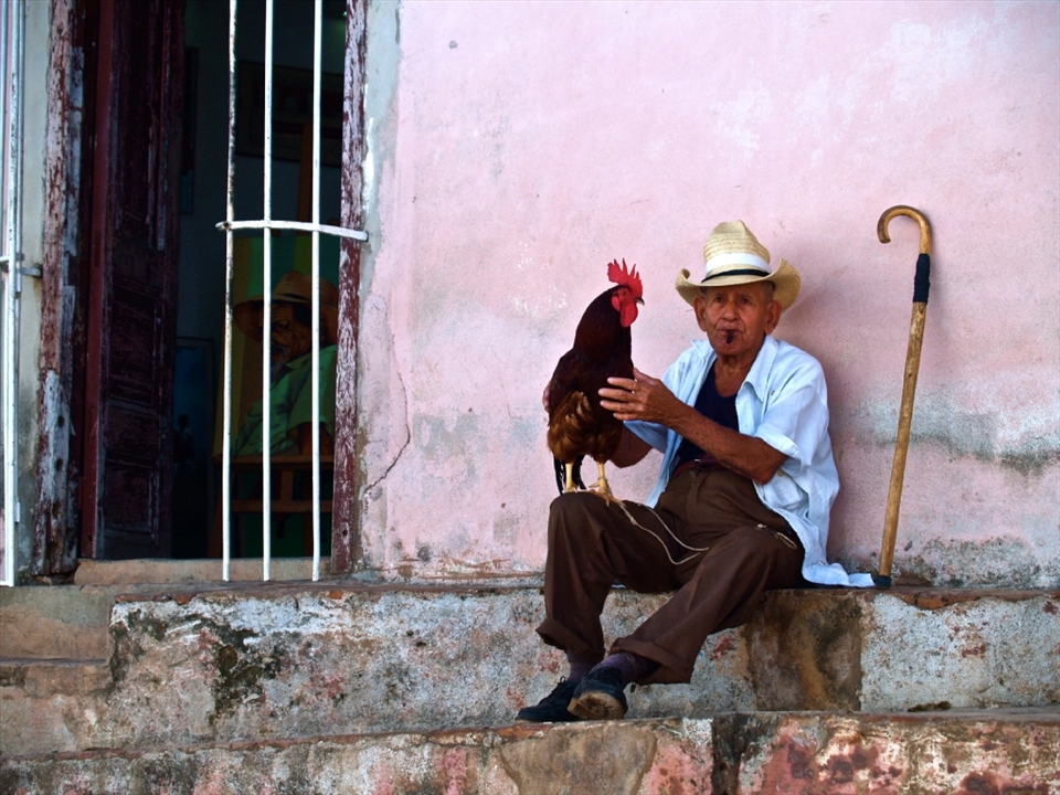 Unlike the dominoes, cockfighting is a violent yet a respected pastime. It runs way back to ancient history of the Cuban ancestors.

I was walking around in Trinidad one evening, and came across this proud man, gently stroking his rooster. 

This shot does not have a lot of objects, but I believe it is a powerful one as it focuses on the intensity of the relationship between the man and his proud crowning glory - his rooster.