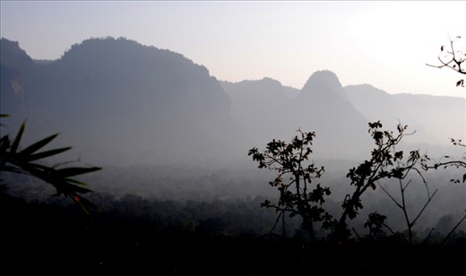 Satpuda Hills: Central India Forest one of Bio Sphere in the world.It is an important transition zone between the forests of western and 

 eastern India. They are not only known for being tallest mountain ranges and a part of a unique ecosystem but also very rich in bio-diversity.
Satpura range has excellent topology ideal for wildlife and human settlements since time immemorial.