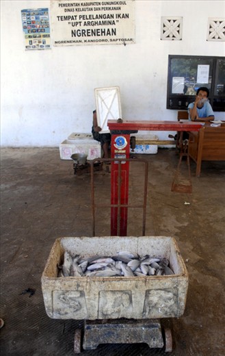 Places of fish auction