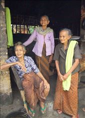 by nunga, Views[229]