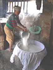 by nunga, Views[236]