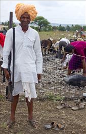 An unlicensed rifle lends a sense of tenuous security to the watchful gypsies : by nupurdsouza, Views[192]