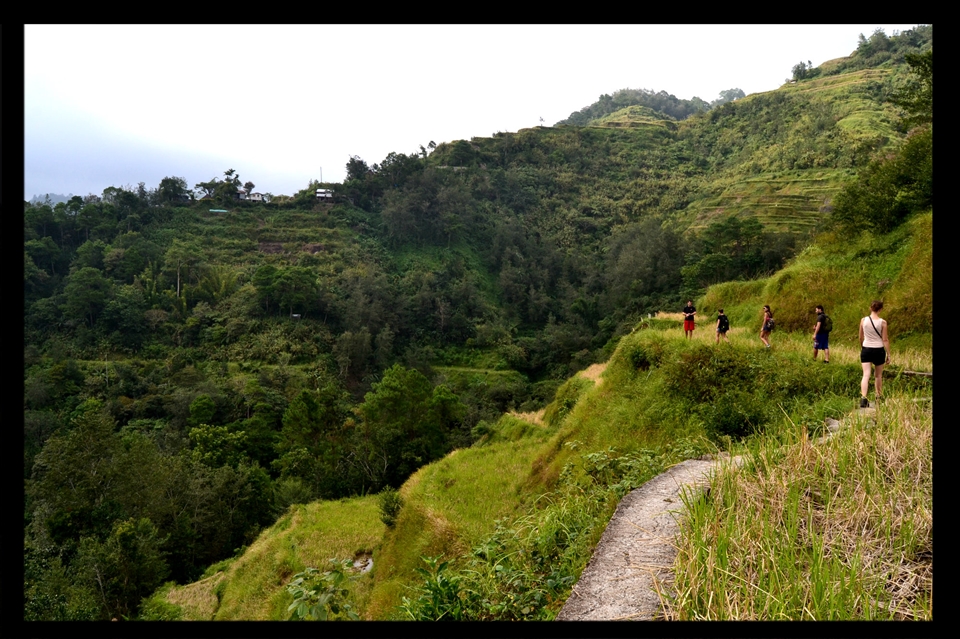 hiking Banaue terrace