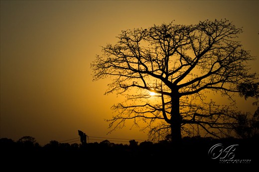 Sunset in my village