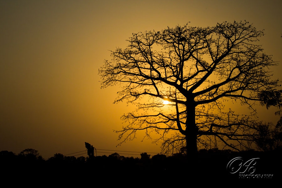 Sunset in my village