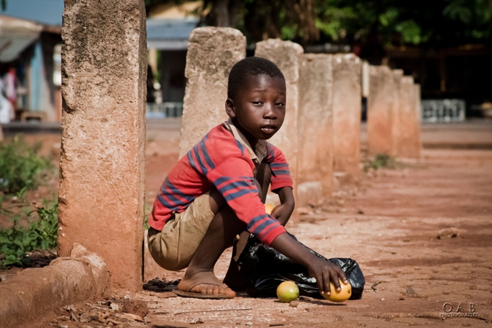 Mango Season in my village