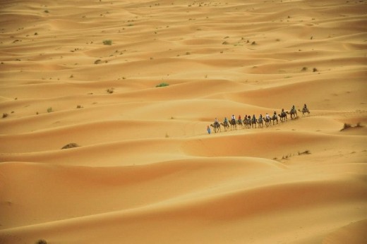 Every strand of sand bears more history than we could imagine. Every heartbeat can be perceived better here: it’s just you, endless dunes, your camel and the starlit sky as your guide. Common aspects of everyday life become reason of celebration here: meeting a person after walking for days in the unforgiving sun, surrounded only by sand and occasional palm trees; finding water, without which your journey would be compromised in just a few hours; and the relation between you and nature, best represented by your loyal companion, a camel, which would bear you for kilometres of adventure, unknown and challenges.  