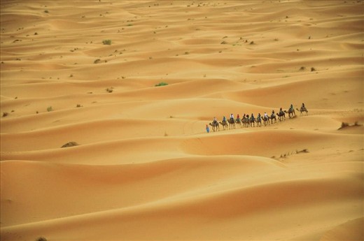 Every strand of sand bears more history than we could imagine. Every heartbeat can be perceived better here: it’s just you, endless dunes, your camel and the starlit sky as your guide. Common aspects of everyday life become reason of celebration here: meeting a person after walking for days in the unforgiving sun, surrounded only by sand and occasional palm trees; finding water, without which your journey would be compromised in just a few hours; and the relation between you and nature, best represented by your loyal companion, a camel, which would bear you for kilometres of adventure, unknown and challenges.  