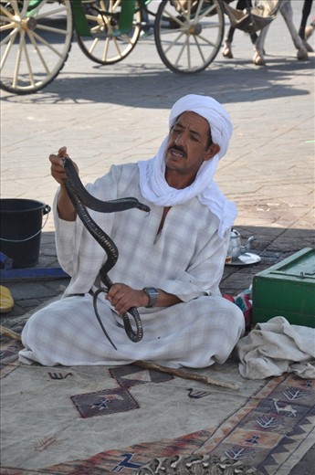 Men’s relation with nature can take bizarre ways; some might be afraid of the smallest and harmless creature, whereas other might choose to live away from the hustle and bustle of overcrowded cities and try to understand the way of being and thinking of his ancestors, restoring the broken link that evolution has destroyed in the human’s seek for domination.