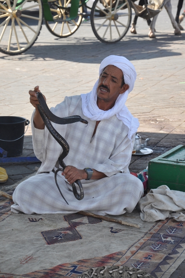 Men’s relation with nature can take bizarre ways; some might be afraid of the smallest and harmless creature, whereas other might choose to live away from the hustle and bustle of overcrowded cities and try to understand the way of being and thinking of his ancestors, restoring the broken link that evolution has destroyed in the human’s seek for domination.