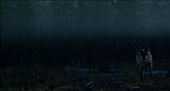 Like a line the fog divides two worlds, one of the light and of the obscurity: by obscurity, Views[578]