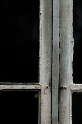 A little butterfly give a bit of colour to this world: by obscurity, Views[505]