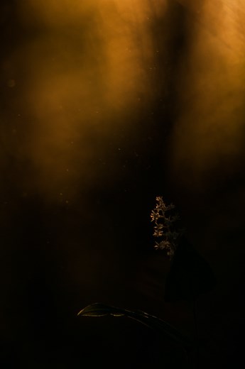 Something is in the darkness