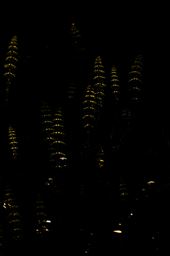 In the underwood: by obscurity, Views[401]