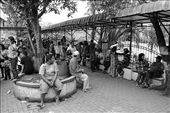 With $0.6 or Rp6000, people loves to bring their family here to see almost 2000 crocodiles.: by odell, Views[471]
