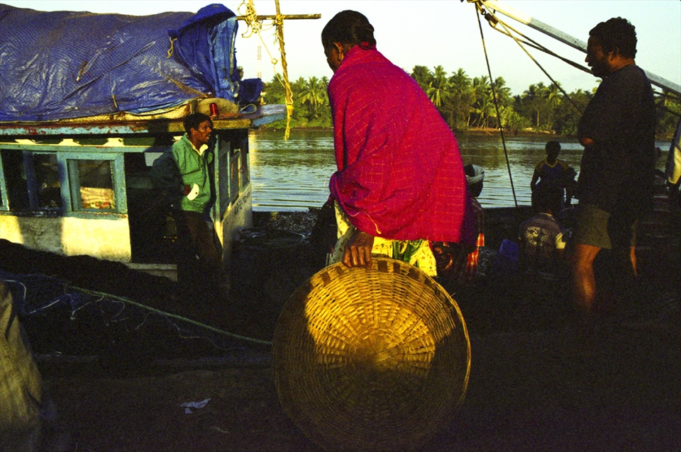 Women buying fish at the fishermen's village.