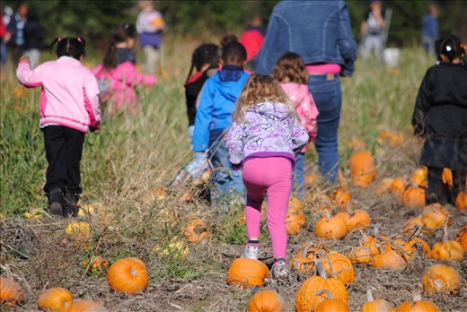 Running for pumpking picking