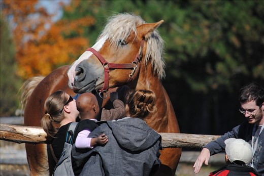 Introducing into love 