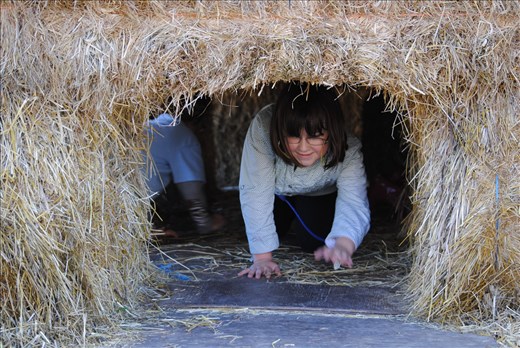 loving and having fun