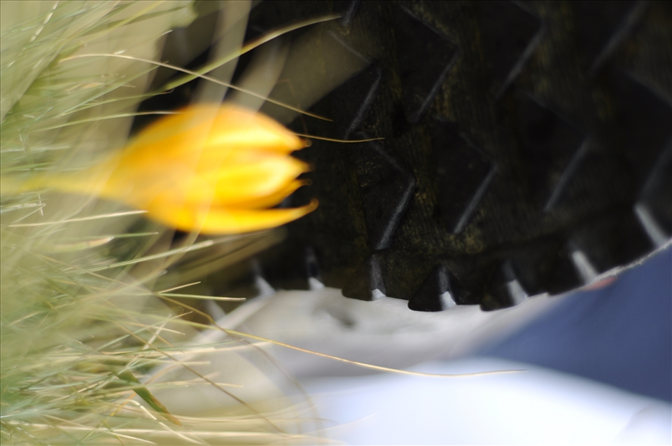 However, everything will change soon