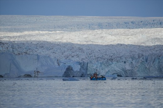 This one was taken in one of the halibut fishermen's favourite places.
The composition of the boat is very good as the boat if fully visible from side and the separation of the sun lights on the glacier made the background beautiful and catchy.
The glacier on the background of the boat is huge and break almost every day. Sometimes it could be dangerous for the boats but also it's the halibuts favourite place to feed.

