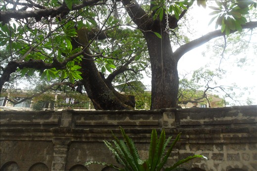 The only Witness of the Past