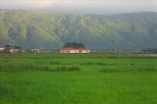 A Paradise within the Paradise