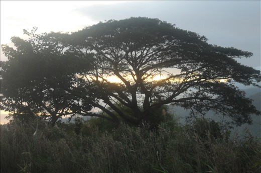 Sunrise for Life to Begin