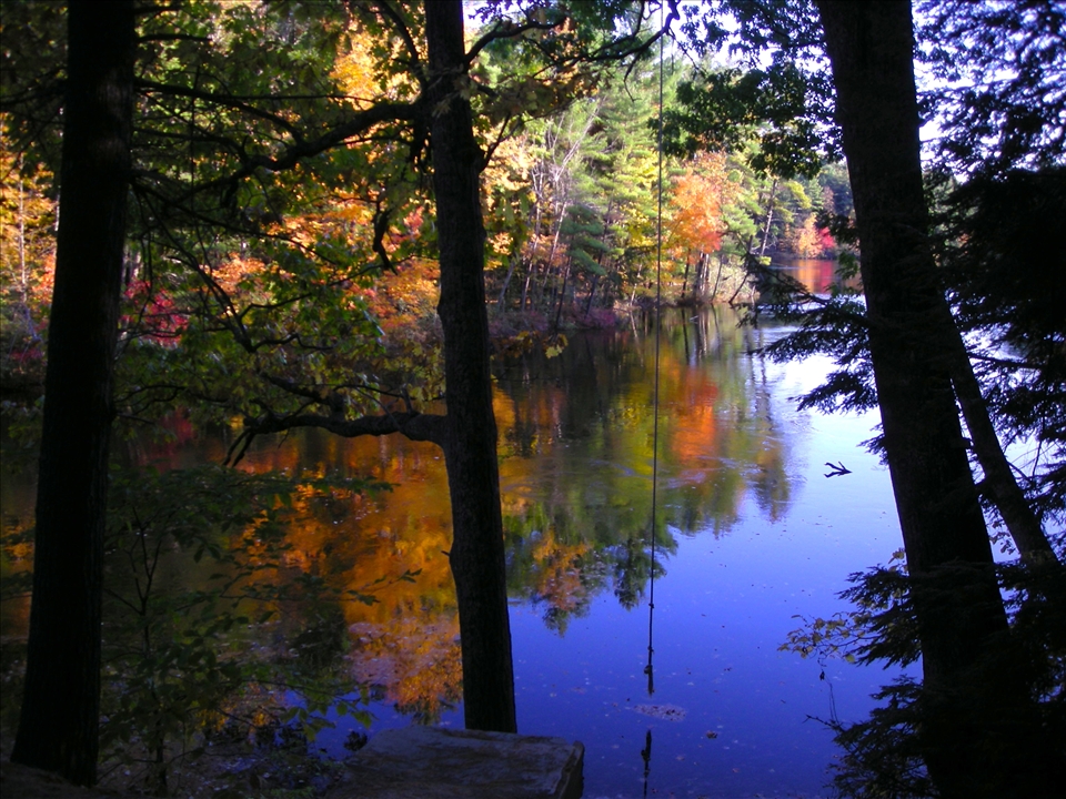 fall serenity at the rope swing 