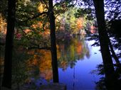 fall serenity at the rope swing : by oliveoyl9, Views[277]
