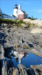 mirror images : by oliveoyl9, Views[339]