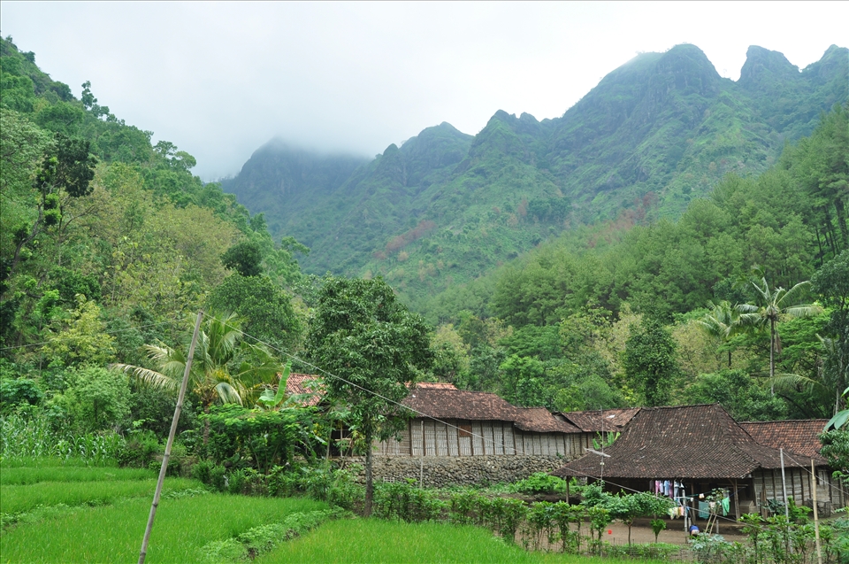 atmosphere of one of the villages in ponorogo at the foot of the hill. Another interesting side of this village is that most people have mental retardation. this village as the idiot village familiarly called.