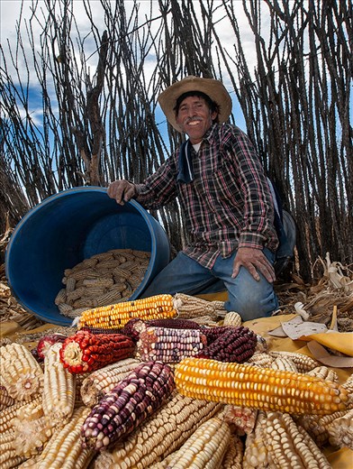 the gifts my mother earth gives me