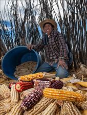 the gifts my mother earth gives me: by omar, Views[243]