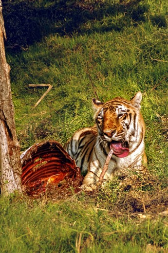 The ultimate point of fear is when you surrender to your enemy 