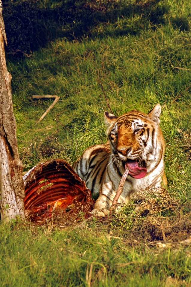 The ultimate point of fear is when you surrender to your enemy 