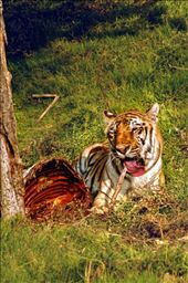 The ultimate point of fear is when you surrender to your enemy : by omarehab, Views[274]