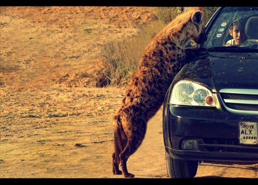 If fear is rooted in your inner-self, there is nothing that can  protect you 
