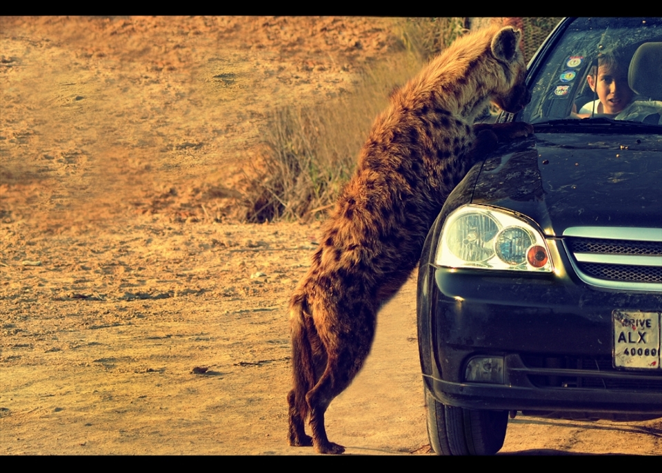 If fear is rooted in your inner-self, there is nothing that can  protect you 
