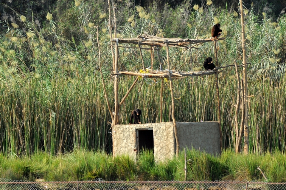 Combating your fear elevates you to the summit where you experience the true joyfulness 