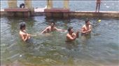 catch the mango....: by omkar, Views[310]