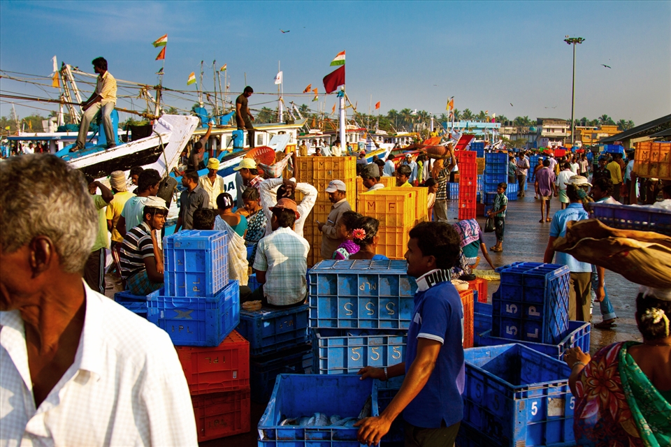 This is Malpe's main business centre - More than 5000 families do fishing for their livelihood. Many are involved directly in fishing activities and some 

indirectly. For fishing they Sail 1000 kilometers deep in the sea,Using 5000 Liters of fuel in a ten days trip.


#Location:  natural fishing harbour of Malpe,at Udupi,India.