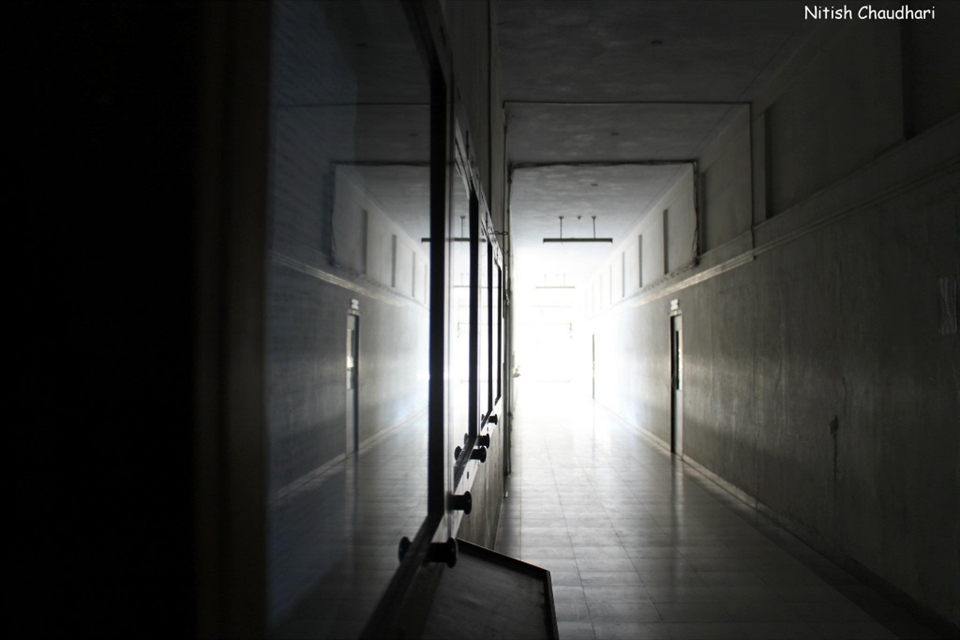 In the right light, at the right time, everything is extraordinary.