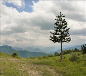 by ontheroad111, Views[165]