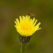 by ontheroad111, Views[153]